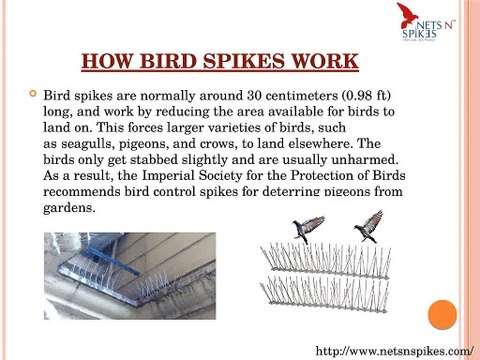 Installation process of Bird Spike | Nets N Spikes