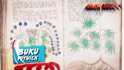 10 FENOMONEA PALING MISTERIUS SAMPE-SAMPE ILMUWAN PUN TIDAK BISA MENJELASKANNYA!!!