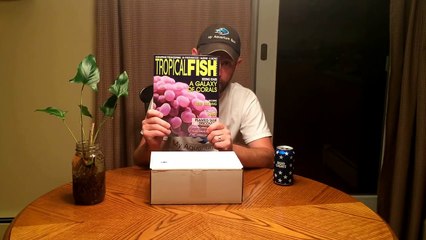 My Aquarium Box - Behind the Box_August-D2z6uUUWqdo