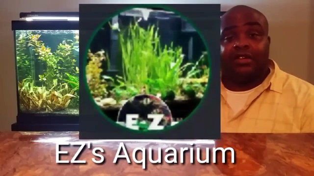 Preparing pool filter sand for your aquarium.-7hcGc0PW3JE