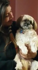 ಗುಜರಾತ್ ಚುನಾವಣೆ 2017ರ ಫಲಿತಾಂಶದ ಬಗ್ಗೆ ಭವಿಷ್ಯ ನುಡಿದ ಪುಟ್ಟ ನಾಯಿಮರಿ  | Oneindia Kannada