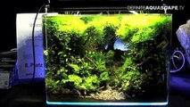 The Art of the Planted Aquarium 2017 - Nano tanks 4-6-2sB-mIVsHJw