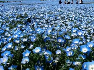 Teri palka.....mothers day special