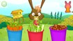 Fun Animals Care Kids Games - Cleaning & Bath For Farm Animals - Baby Learn Farm Animals & Farm Work-1fZIVCUO3qo