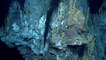 Deepwater Exploration - 2016 Deepwater Exploration of the Marianas-g4BL-dfl3d4