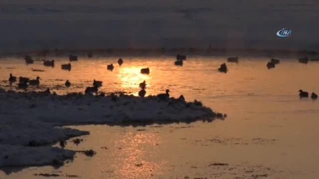 Gün Batımında Ördeklerin Dansı Keyifli Anlar Yaşattı