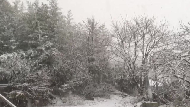 [YTN 실시간뉴스] 서해안 최고 15cm 눈...내일 서울 영하 11도 / YTN