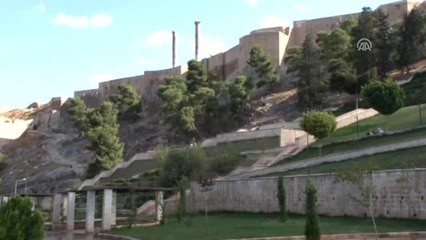 Peygamber Geleneğini" Şafak Vakti Sürdürüyorlar