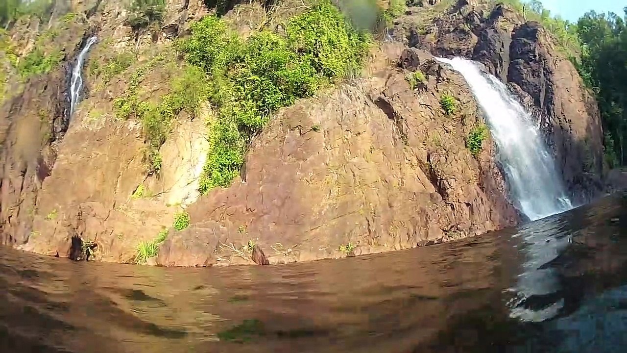 Quand un crocodile te saute dessus et que tu ne t'y attends pas... ARRghh