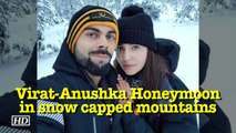 Virat-Anushka Honeymoon in snow capped mountains