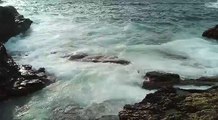 Puglia: capodoglio spiaggiato nelle acque di Porto Selvaggio, la denuncia dello 