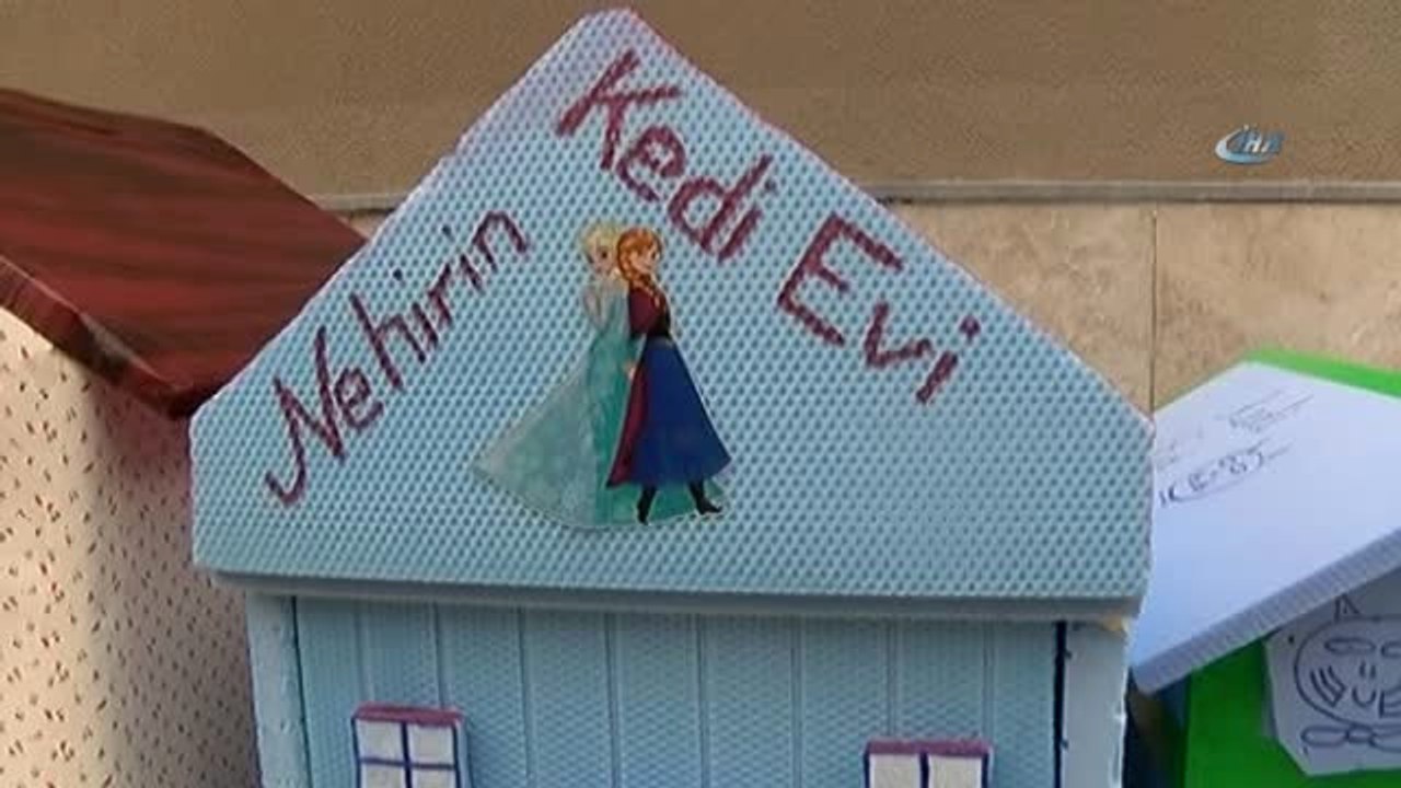 Minikler Sokak Sokak Kulübe Taşıyıp Hayvanları Ev Sahibi Yaptılar