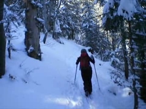La pratique du ski de randonnée nordique