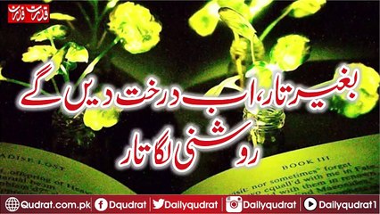 now the trees will give light