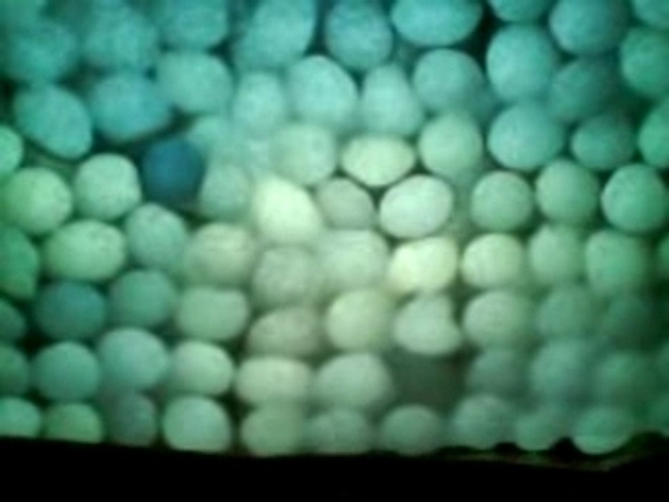 MOV00258