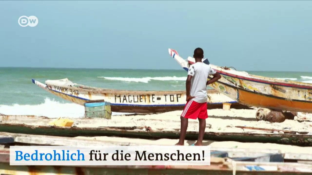 Wie naturschutz menschen rettet | dw deutsch