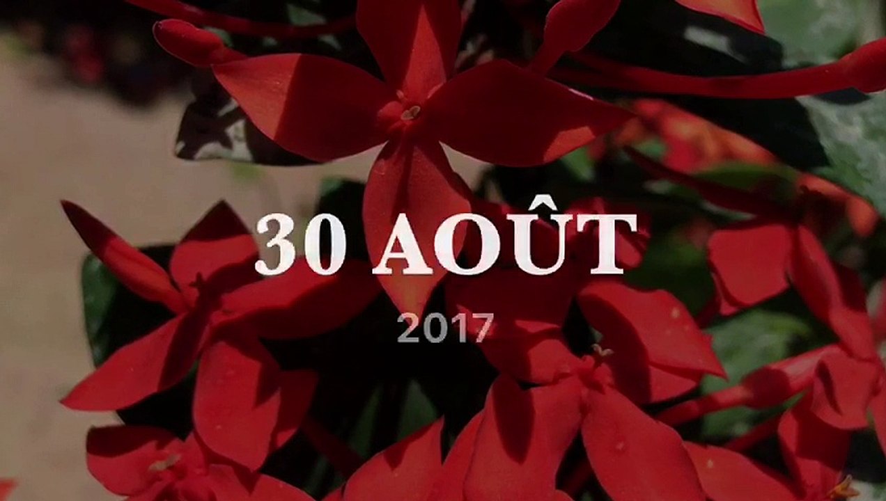 compllication de tres jolies fleurs