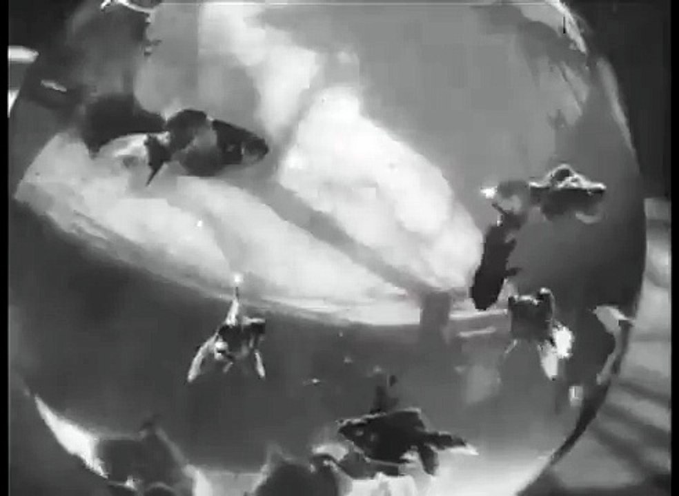 Bocal aux poissons-rouges (1895)