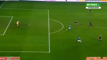 Piotr Zielinski Goal HD -Torinot0-2tNapoli 16.12.2017