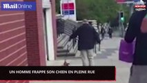 Liverpool : Un homme frappe son chien en pleine rue (vidéo)