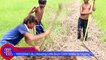 mpleLife_1080p\( 100_ Real Life ) Amazing Little Boys Catch Snake by Digging One Hole