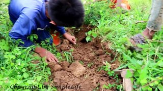 mpleLife_1080p\( 100_ Real Life ) Amazing Three Brave Boys Catch Snakes In The Hole By Digging ( Part 6 )