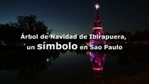 Árbol de Navidad de Ibirapuera, un símbolo en Sao Paulo