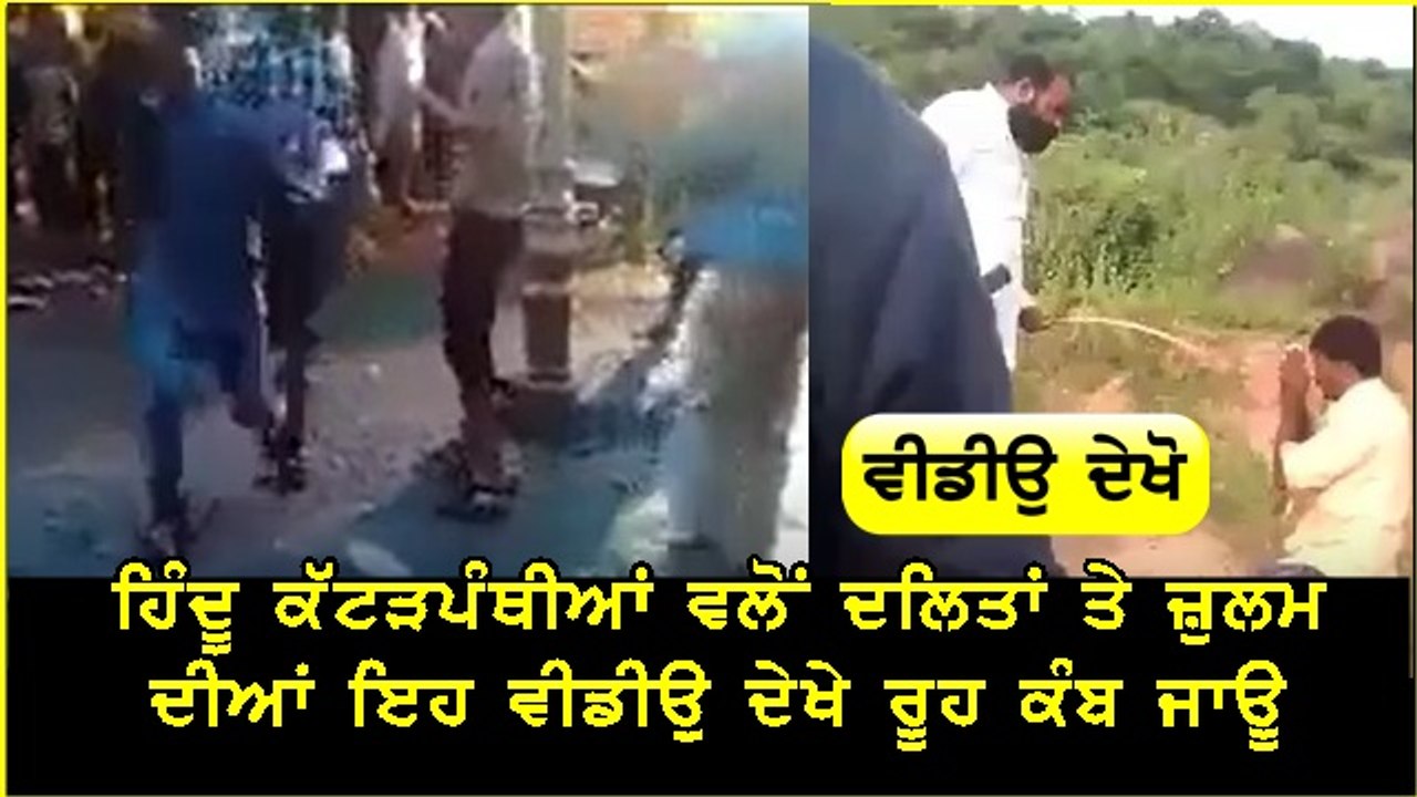 sja milda dekho