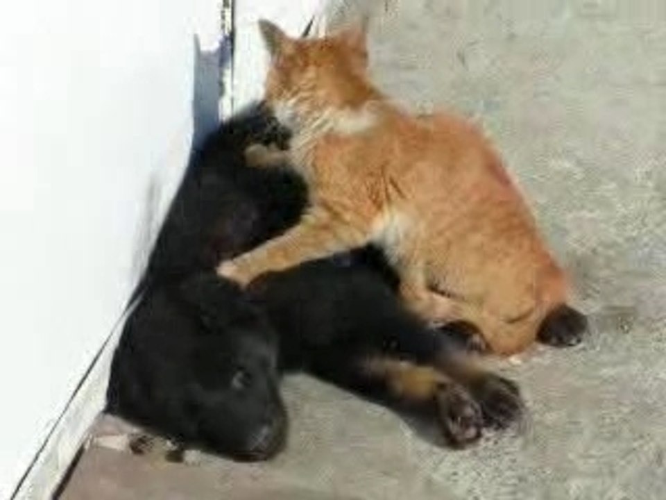 Hot massage