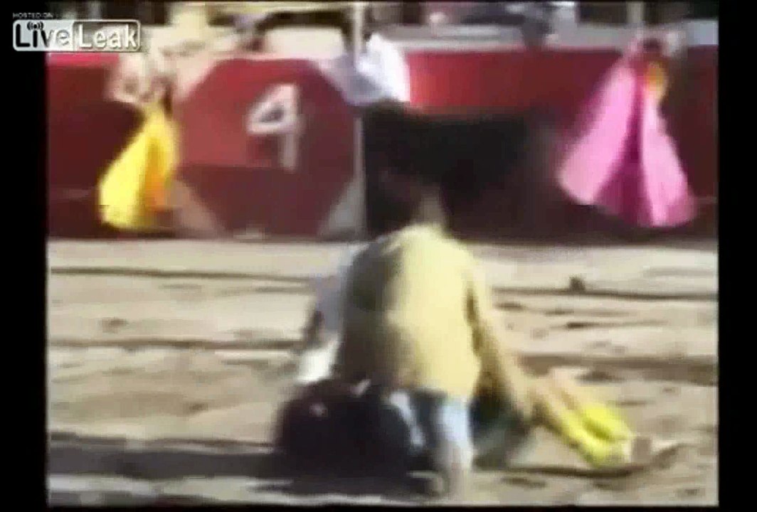TOROS vs GENTE ESTÚPIDA (1)
