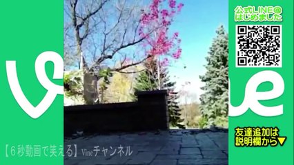 【Bakusho Impact Video 72 episodes】 Latest Overdoing Funny Videos!