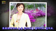 김용임 남편 시성웅 이혼이유-10pyVugSzF0