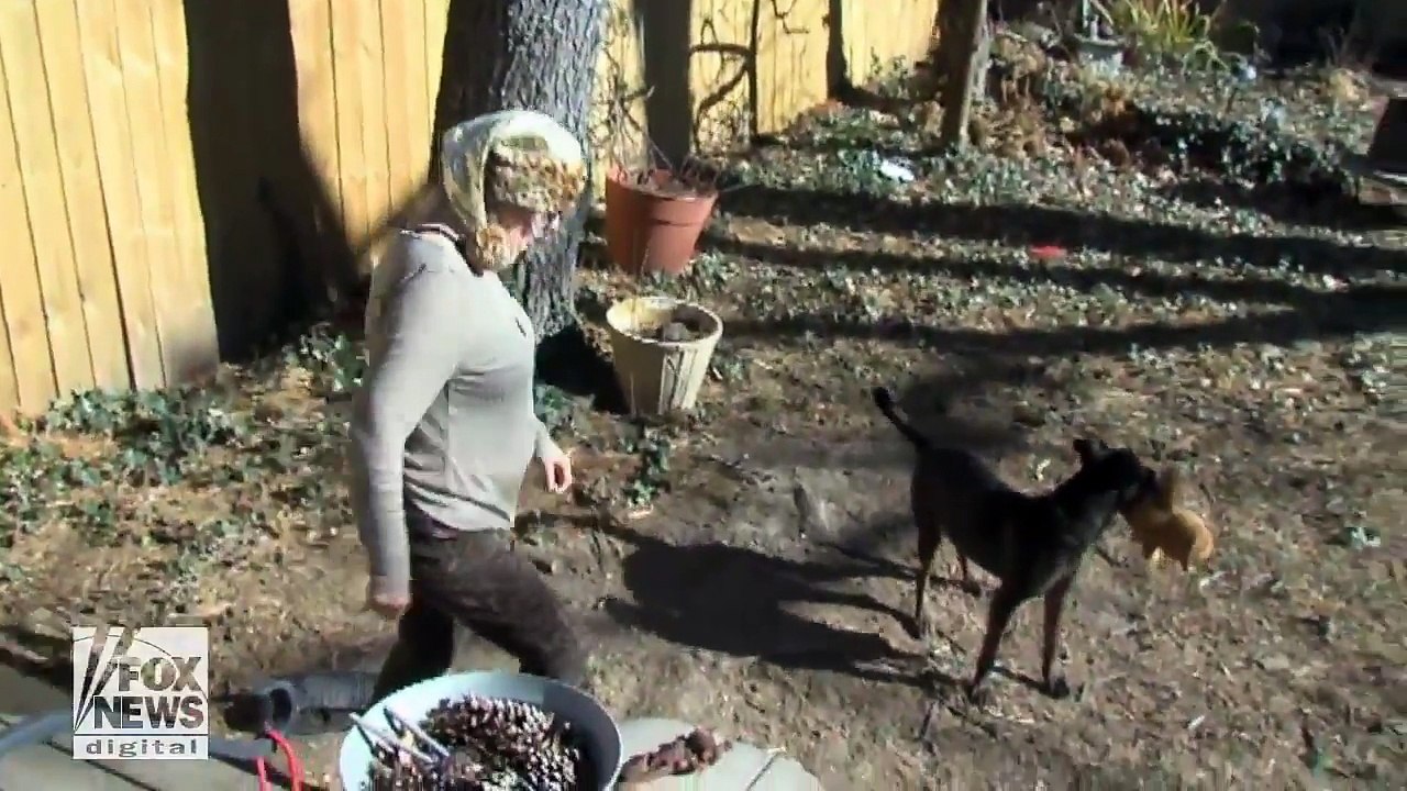 Resident leaves nasty surprise for 'porch pirates'