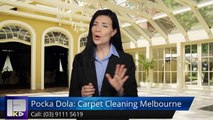 Pocka Dola: Carpet Cleaning Melbourne Alphington Excellent 5 Star Review by Eva-Mareike Kemmerle