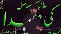 Allama Saleem Abbas Naqvi Qoom 18th Muharam 1439(2017) Choti Behak Hafizabad