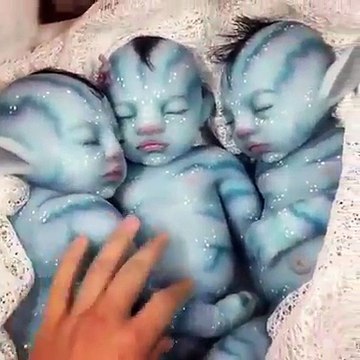 24-year-old female tourist from Germany has reportedly given birth to a litter of German Shepherd puppies in Stellenbosc