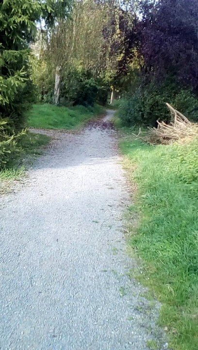 Kreuzung des Fußwegs in Werl Aspe (2)