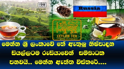 ලංකාවෙ නිෂ්පාදනවලට රුසියාවෙන් තහනමක්. මෙන්න ඇත්ත Russian tea ban insect detection an isolated incident-SL