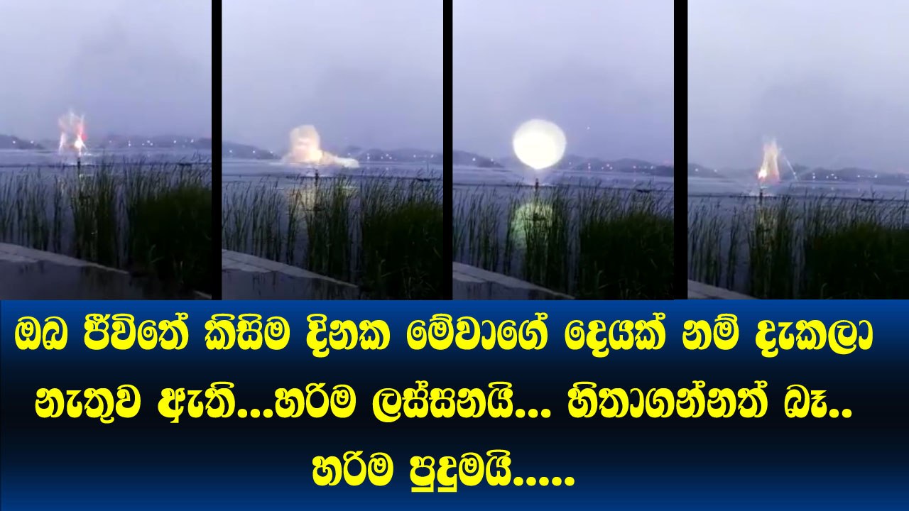 Wow Amazinig..ජීවිතේ කවදාවත් දැකලා නැතිව ඇති මේවගේ දෙයක්... ඇත්තටම හිතාගන්නත් බෑ..
