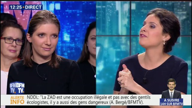NDDL : Il y a une ZAD qui est une occupation illégale avec des gens dangereux qui préparent une guérilla dit A.Bergé (LaRem)