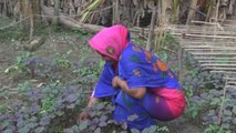 Los alimentos contaminados en Bangladesh, una fuente de enfermedad remediable
