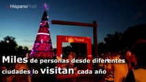 Árbol de Navidad de Ibirapuera, un símbolo en Sao Paulo