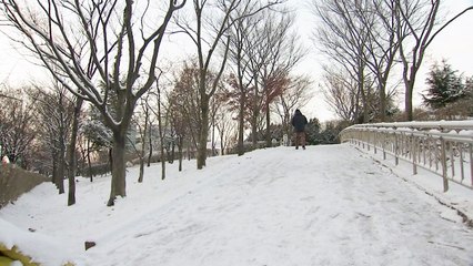 "반갑다 겨울눈" 한라산 눈 '수북'...빗나간 예보 / YTN