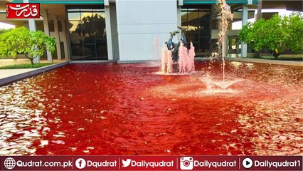 Pictures That Were Taken Right After the Phrase