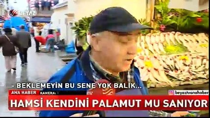 Hamsi kendini Palamut mu sanıyor?
