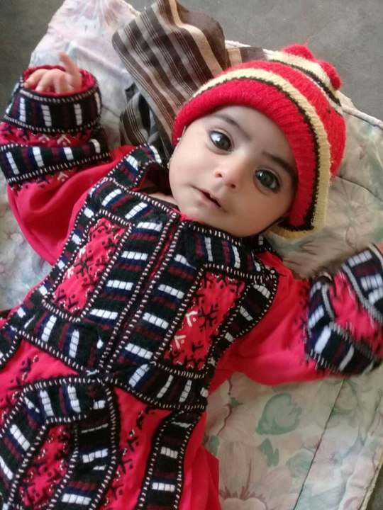 don of india