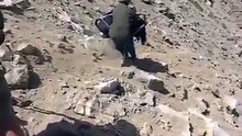 حمار ضحية انعدام الطرقات بالمغرب