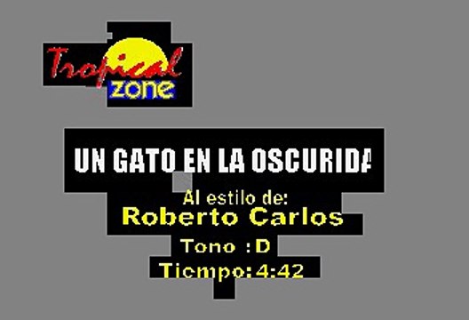 Un Gato En La Oscuridad - Roberto Carlos (Karaoke)