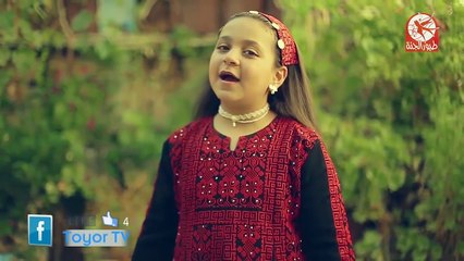 كنت قاعدة (بدون إيقاع) - طيور الجنة