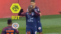 But Jérôme ROUSSILLON (20ème) / Montpellier Hérault SC - FC Metz - (1-3) - (MHSC-FCM) / 2017-18